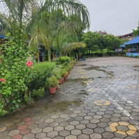 School premises are clean, plastic free and has green zone